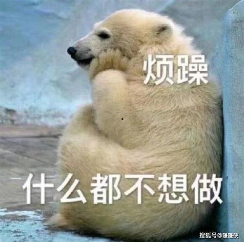 开朗网友吃瓜群众图片,吃瓜群众视角下的开朗网友众生相