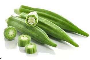 坐月子吃蒲瓜,蒲瓜成为产后妈妈滋补佳品