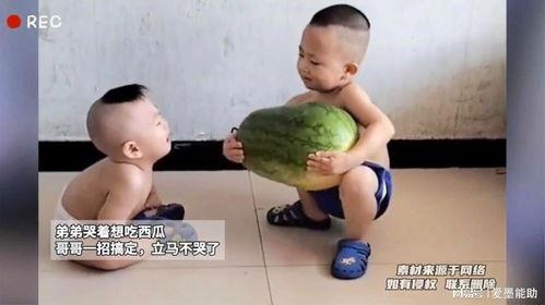 小孩哥吃瓜全程,揭秘娱乐圈幕后真相