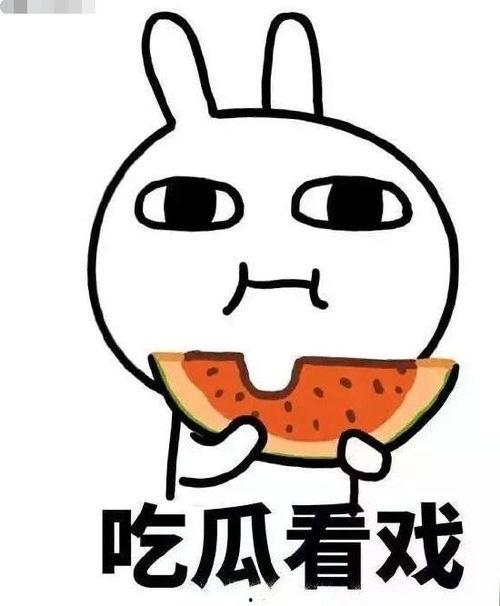 云居吃瓜后续,揭秘幕后真相，娱乐圈风云再起