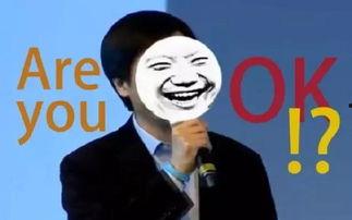 雷军吃瓜群众,揭秘科技大佬的日常生活