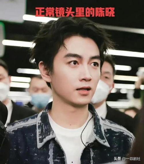 明星新闻吃瓜,明星新闻背后的惊人真相大揭秘