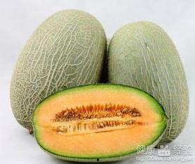 吃完哈密瓜可以吃海带,营养互补的完美搭配