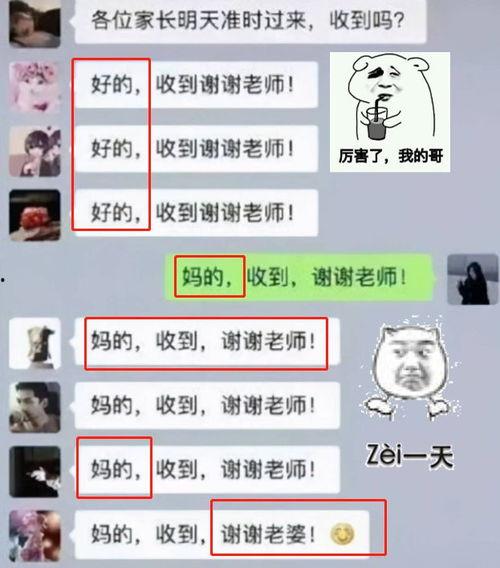 吃瓜福建家长群,家长们的社交新天地