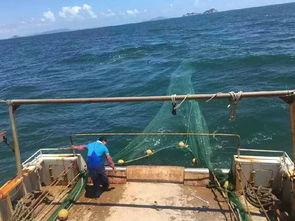 卸货船带你吃瓜,一场味蕾与视觉的盛宴