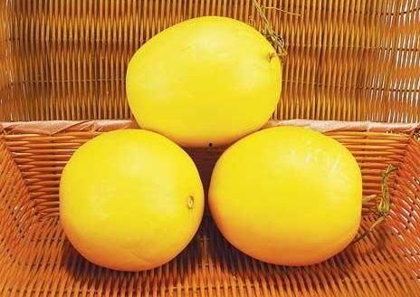 老外吃伊丽莎白瓜视频,体验中国夏日美味