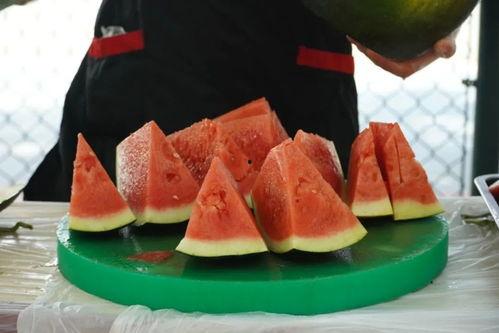 大学吃瓜照片,揭秘大学里的那些“吃瓜”瞬间