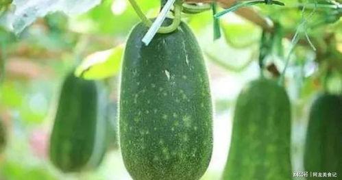 1月吃瓜,盘点娱乐圈的甜蜜与苦涩