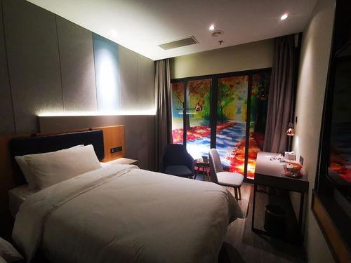 深圳酒店吃瓜,一场吃瓜群众的美食探秘之旅