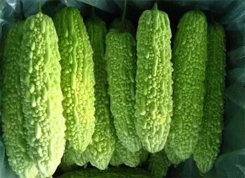 南宁吃瓜群,揭秘城市生活百态的“瓜田”