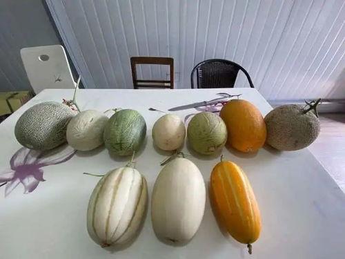 杭州男子吃瓜视频,揭秘网络热传背后的故事