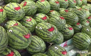 看花和吃瓜课文