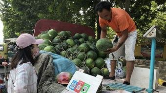 吃瓜事件济宁,揭秘背后真相与网络舆论风暴