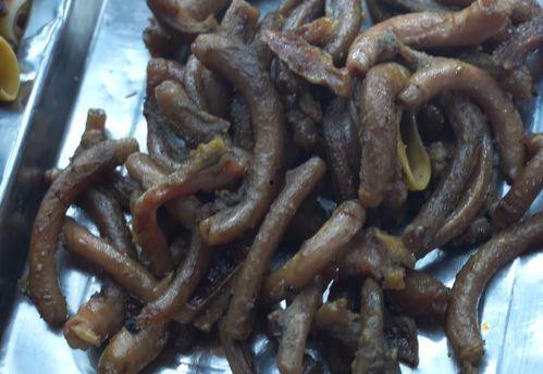 猪小弟吃瓜,猪小弟的瓜田奇遇记