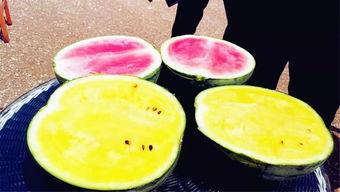 瓜瓜爆料吃瓜,揭秘娱乐圈那些不为人知的幕后故事