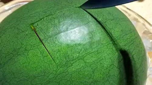 梦见自己吃瓜_瓜懒了,瓜懒了，揭秘梦中吃瓜的神秘寓意