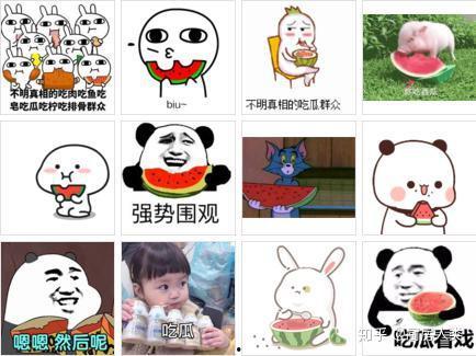 网络用语的吃瓜吃的什么瓜,“吃瓜吃的什么瓜”背后的趣味与内涵