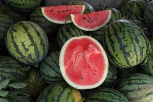 钱瓜怎么吃,解锁独特吃法，尽享美味人生