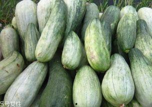 减肥可以吃酥瓜,轻松开启健康减肥之旅