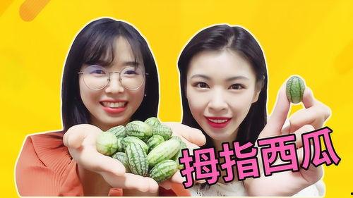 不会吃瓜的小瓜叫什么