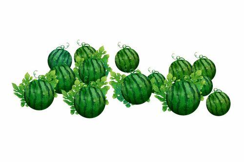 阿树吃瓜,揭秘娱乐圈背后的那些事儿