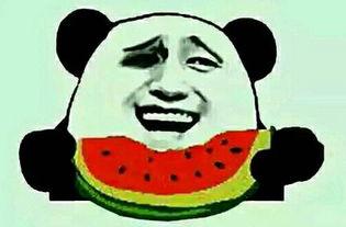 吃瓜电话,网络热议背后的真相与反思