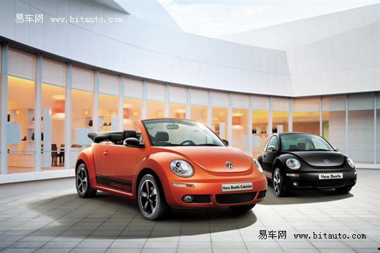 甲壳虫吃瓜,一场生态与自然的和谐交响