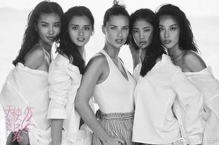 塑料花姐妹吃瓜,揭秘娱乐圈背后的秘密