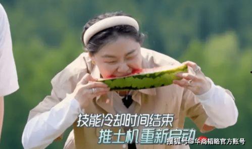 小月要努力吃瓜