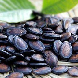 蒲子瓜怎么吃,探索美味与营养的完美结合