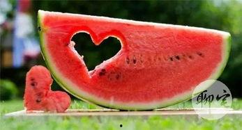 吃瓜群众都有什么样的瓜,他们都有哪些瓜？