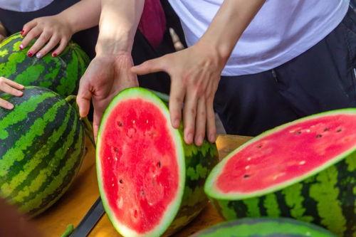 疫情大学吃瓜,大学里的“吃瓜”现象解析