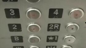 疫情大学吃瓜,大学里的“吃瓜”现象解析