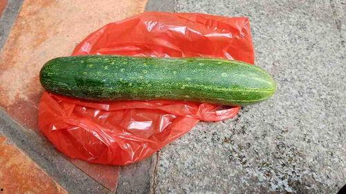 有啥瓜吃吗,揭秘那些你不知道的幕后瓜料