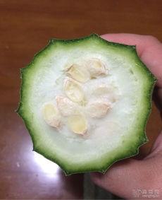 有啥瓜吃吗,揭秘那些你不知道的幕后瓜料