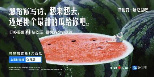 吃瓜兰州拍照文案