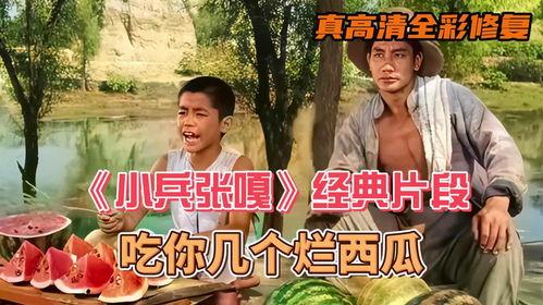 小兵张嘎太君吃瓜