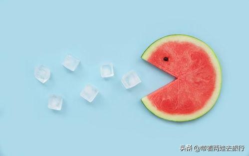 玫瑰市长吃瓜小熊,一场意外的甜蜜邂逅