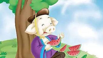 蜘蛛吃瓜故事,瓜田里的神秘食客