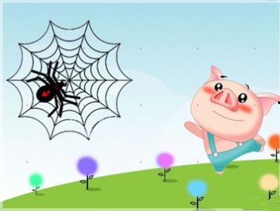 蜘蛛吃瓜故事,瓜田里的神秘食客