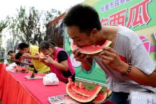 吃瓜大赛的报道,全民热议年度瓜王争霸