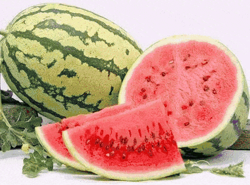 吃瓜爆料大赛吃瓜,吃瓜爆料大赛，明星隐私大曝光！