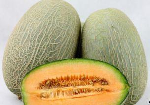 哈密瓜什么时间吃,哈密瓜的最佳食用时机揭秘